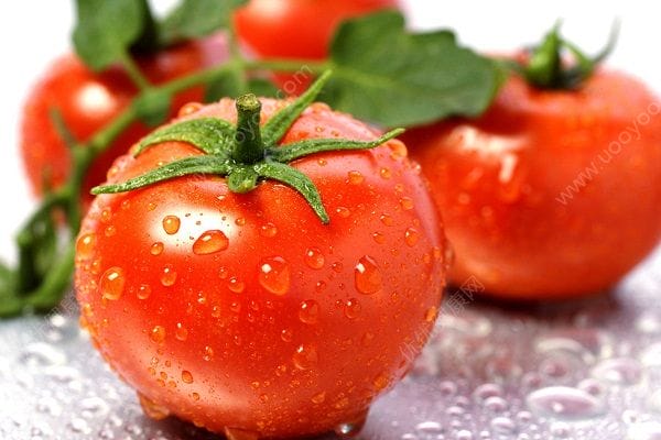 桃子和西红柿能一起吃吗？番茄和桃子一起吃好吗？(3)