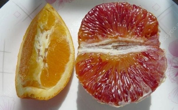橙子有红色的吗？红色果肉的橙子是什么？(1)
