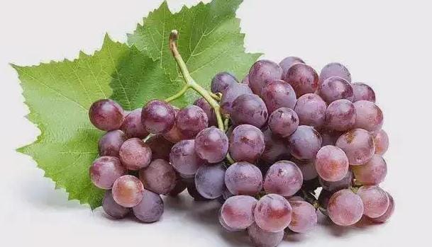 洗葡萄的方法是什么 鲜葡萄的保存方法是什么