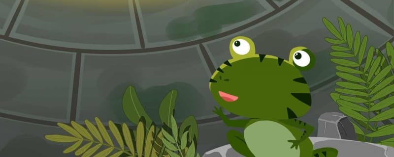 青蛙的鸣叫属于什么行为 青蛙如何捕食