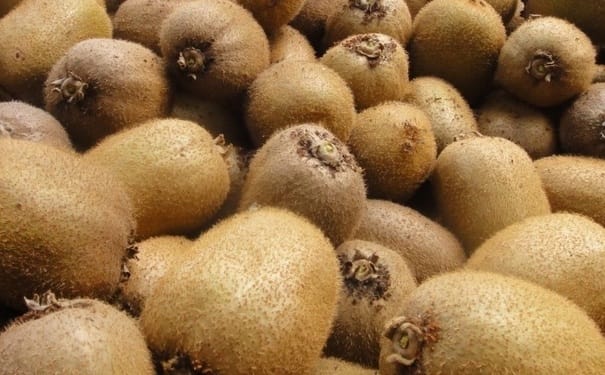 猕猴桃是什么类型的水果？猕猴桃的营养成分有哪些？(1)