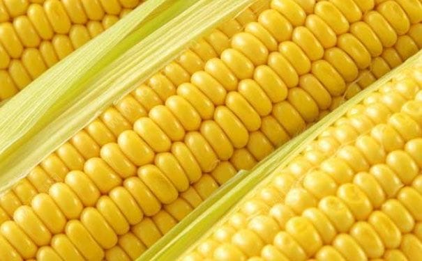 玉米怎么吃最营养？玉米怎么煮更有营养？(6)