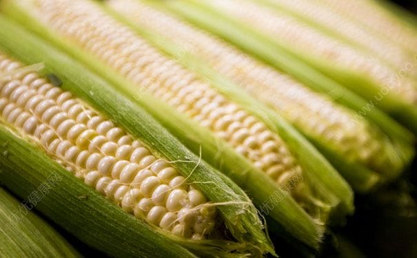 玉米怎么吃最营养？玉米怎么煮更有营养？(5)
