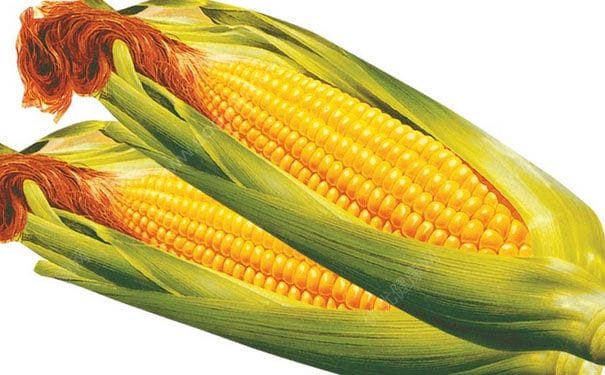 玉米怎么吃最营养？玉米怎么煮更有营养？(7)