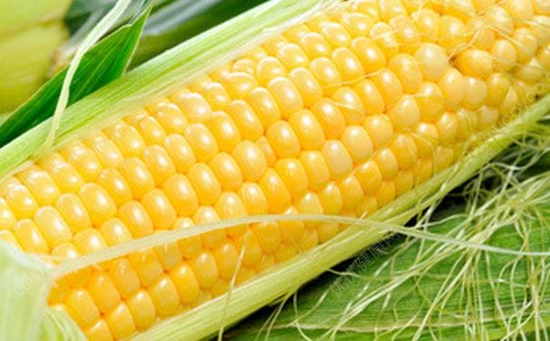 玉米怎么吃最营养？玉米怎么煮更有营养？(2)