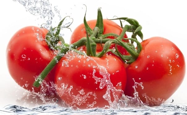 番茄和什么食物搭配最营养？番茄的营养搭配有哪些？(1)