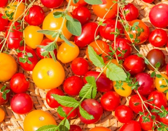 番茄有霉点可以吃吗 霉菌毒素引起腹痛呕吐腹泻发热等