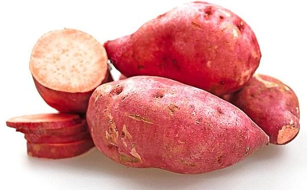 白薯、红薯和地瓜有什么区别？白薯红薯地瓜有什么区别？(1)