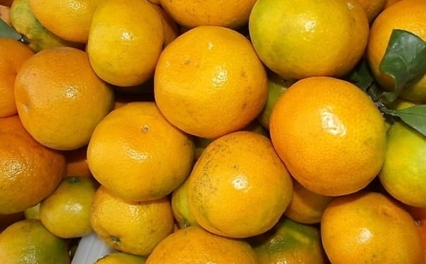秋冬吃橘子的好处有哪些？购买橘子的技巧有哪些？(1)