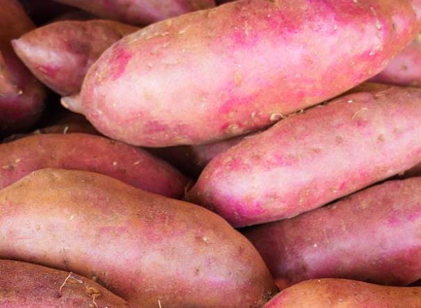 空腹可以吃红薯吗 单宁和胶质会刺激胃壁