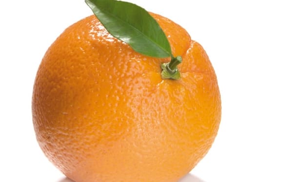 苦橙有什么功效与作用？苦橙的功效与作用(1)