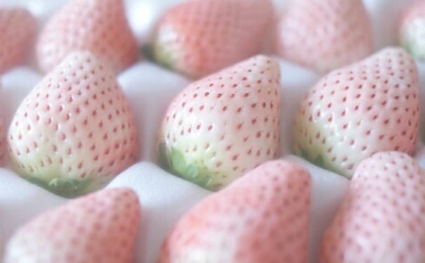 菠萝莓是转基因水果吗？菠萝莓有哪些营养价值？(1)
