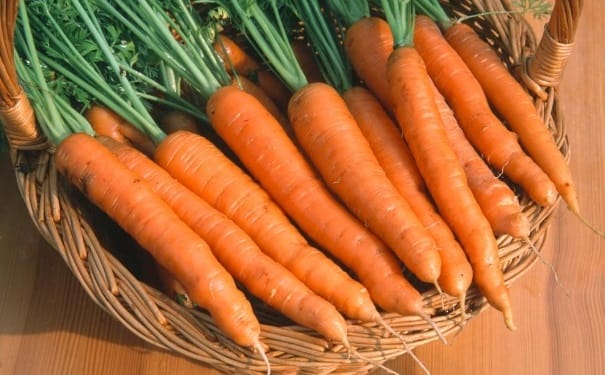 萝卜的品种有哪些？萝卜的营养食谱(1)