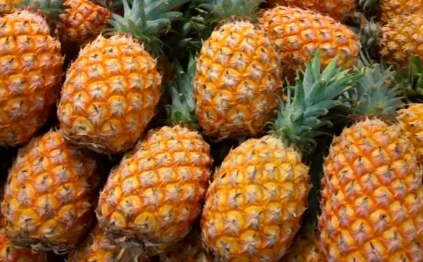 菠萝的营养功效有哪些？吃菠萝的禁忌是什么？(1)