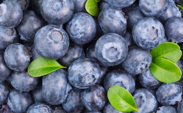蓝莓的营养有什么功效？吃蓝莓对健康有什么好处？(1)