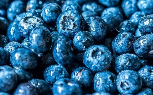 蓝莓的营养价值有哪些？吃蓝莓要注意什么？(1)