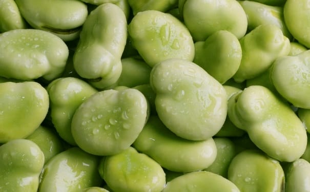 蚕豆有哪些营养价值？蚕豆的食用功效有哪些？(1)
