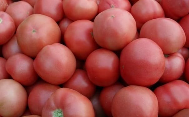 西红柿有什么营养功效？吃西红柿有什么养生作用？(1)