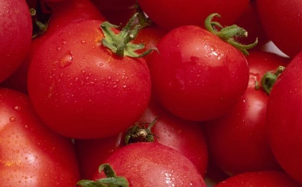 西红柿如何搭配更有营养？番茄搭配什么营养价值更高？(1)