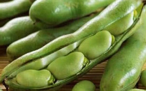 豆类蔬菜的保健功效有哪些？豆类蔬菜有什么食疗作用？(1)