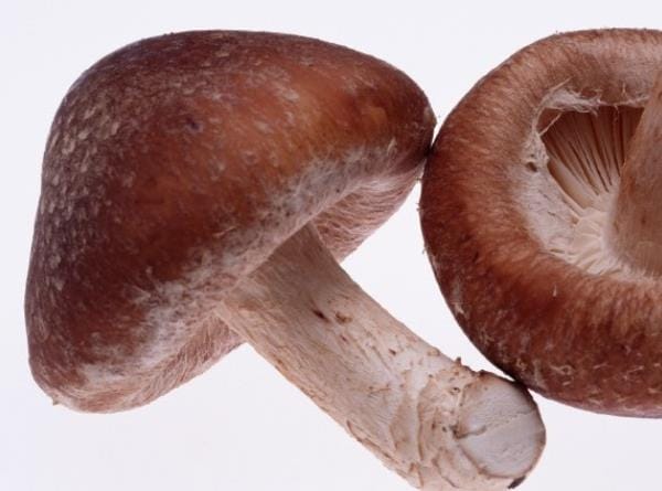 香菇吃多了有什么危害 膳食纤维不消化肠胃不适