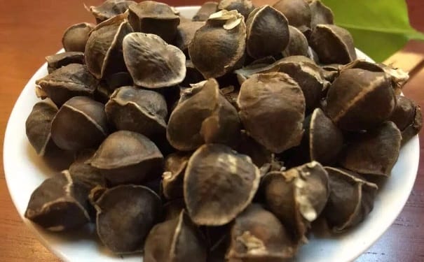 辣木籽的功效与作用及食用方法？辣木籽有什么功效？(1)
