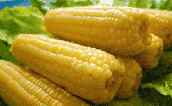 经常吃玉米有什么好处？吃玉米的好处有哪些呢？(1)