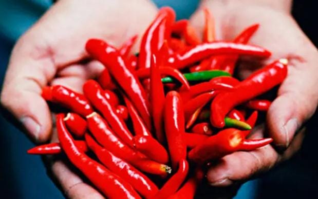 辣椒的营养价值有哪些 辣椒的功效与作用有哪些