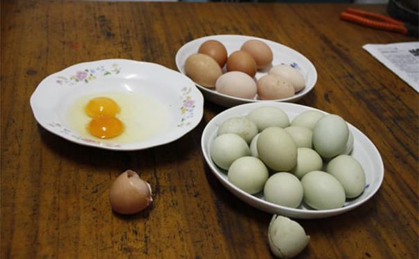 绿色的鸡蛋可以吃吗？绿皮鸡蛋的营养价值有哪些？(1)