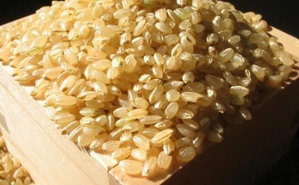 糙米的营养价值有哪些？肠胃不好的人吃糙米好吗？(1)