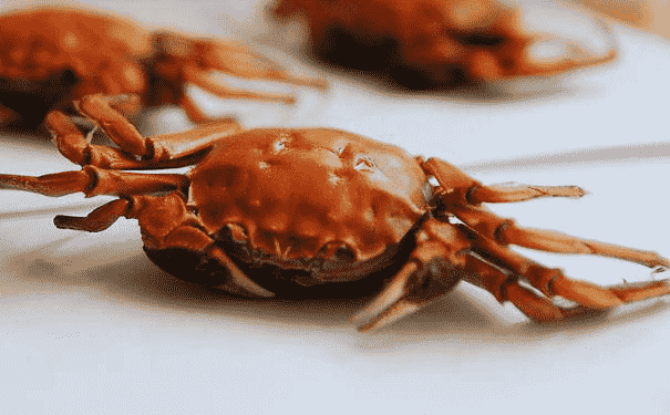 秋季吃螃蟹有哪些好处？秋季吃螃蟹要注意什么？(1)