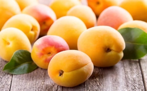 杏子的营养价值有哪些？杏子有哪些营养功效？(1)