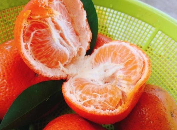 吃砂糖橘会变白吗 维生素滋润肌肤抵抗衰老