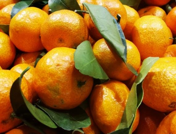 吃砂糖橘会变白吗 维生素滋润肌肤抵抗衰老