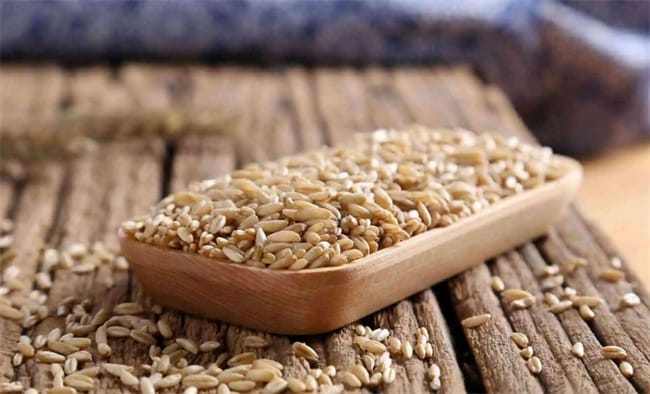 燕麦对人体有哪些功效 燕麦对人体有哪些作用