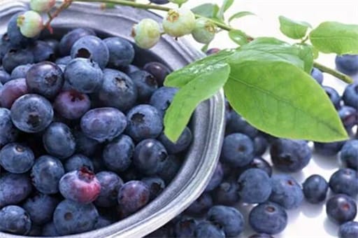 蓝莓的功效与作用（蓝莓的常见吃法和做法）
