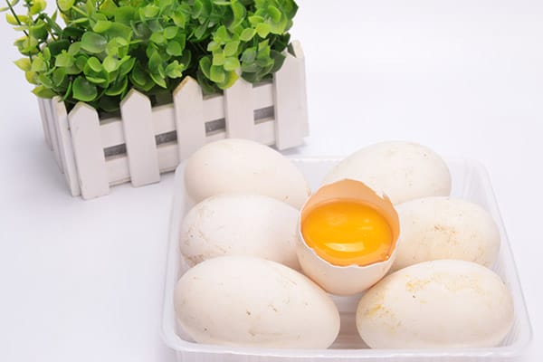 鹅蛋的功效与作用禁忌 香菜炒鹅蛋的功效与作用禁忌