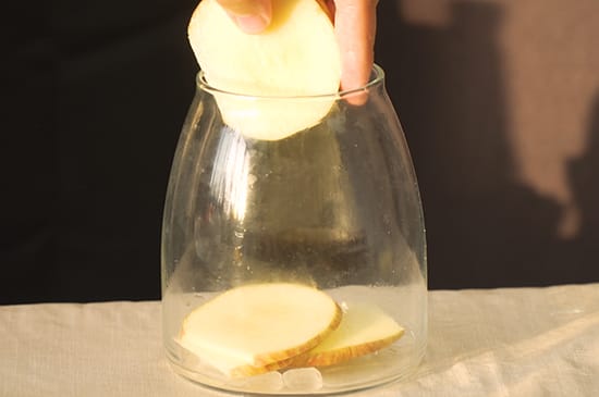 苹果醋的做法 苹果醋的功效与作用及禁忌
