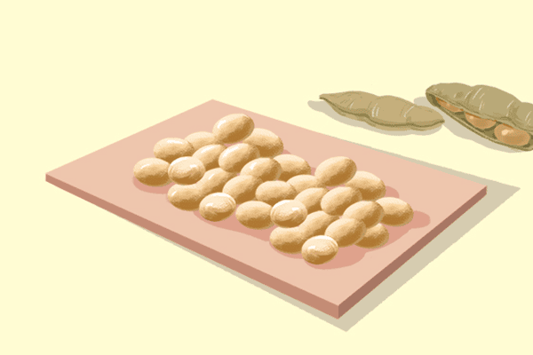 巴豆的作用 怎么正确服用巴豆