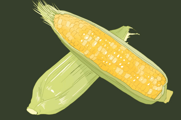 玉米须的功效与作用及食用方法 玉米须的功效与作用