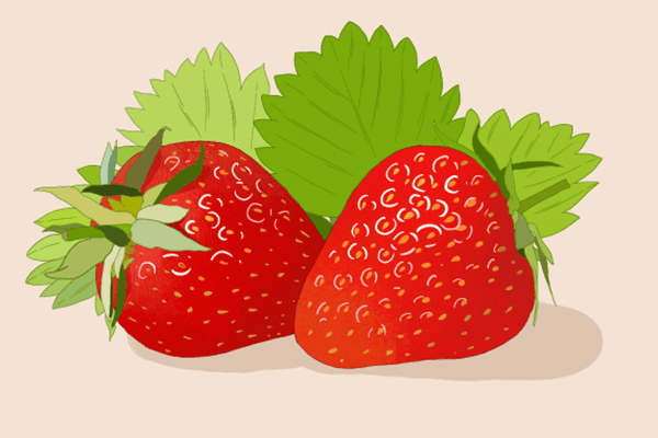 芒果能与草莓一起吃吗 芒果能与草莓放在一起吃吗