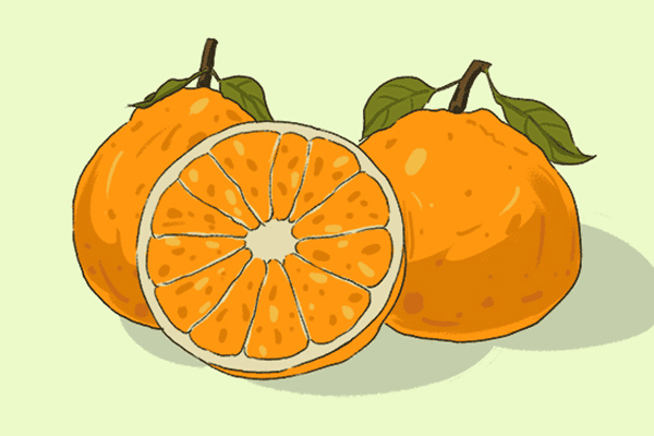 橘子和西瓜能一块吃吗 橘子和西瓜这两种水果能一块吃吗