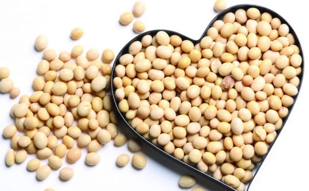 黄豆的营养有什么价值？怎么吃黄豆最养生？(1)
