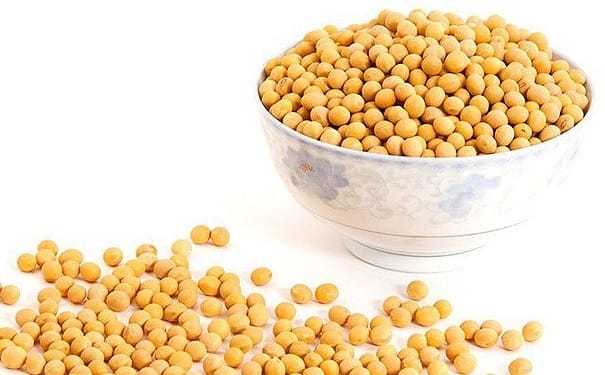 黄豆的食疗价值有哪些？黄豆有哪些功效作用？(1)