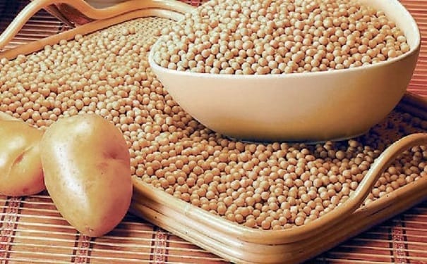吃什么食物能够防癌？大豆能有效预防乳腺癌吗？(1)