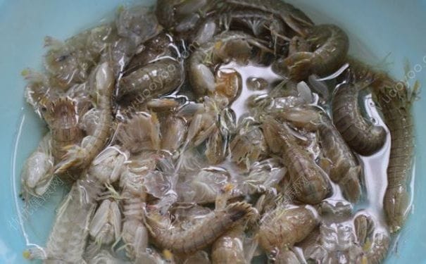 吃皮皮虾有什么好处？吃皮皮虾的好处有哪些？(1)