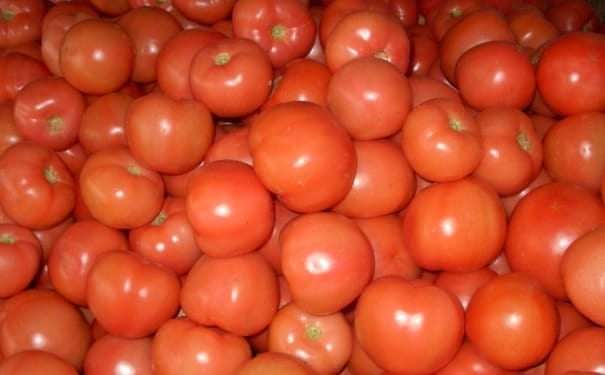 吃西红柿的养生功效有哪些？什么时候吃西红柿最养生？(1)