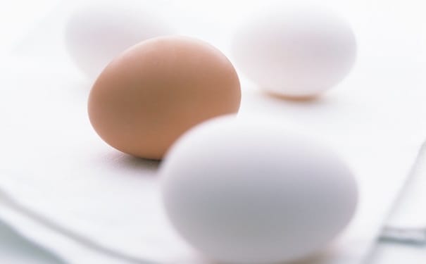 各种蛋的营养是什么？各种蛋的营养价值介绍(1)