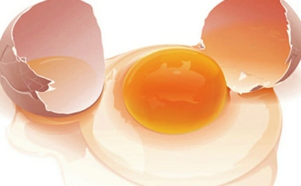 土鸡蛋和草鸡蛋有什么区别？土鸡蛋和草鸡蛋哪个好？(1)