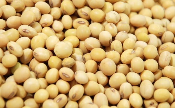 大豆怎么吃防癌效果好？吃大豆时要注意什么事项？(1)